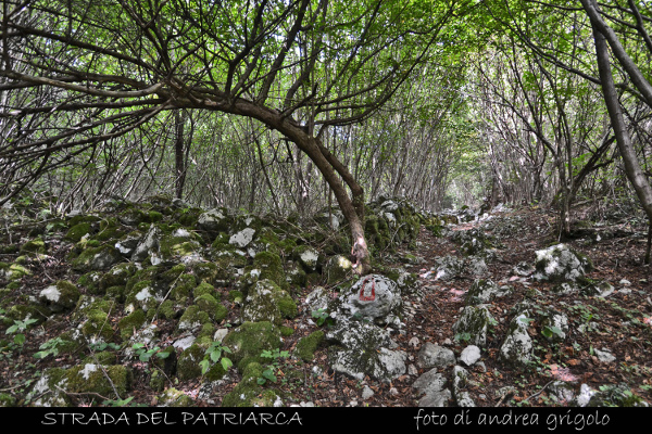 strada del Patriarca