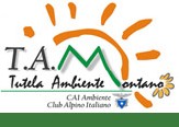 logo TAM